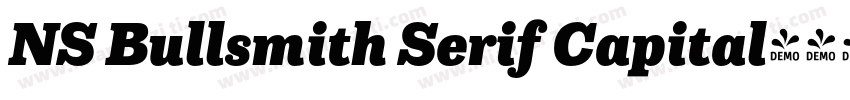NS Bullsmith Serif Capital字体转换